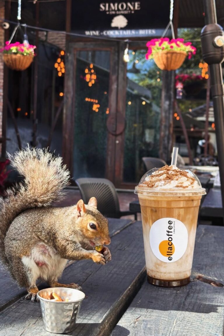 Ella Coffee specialty drink on the patio at Simone on Sunset in Rice Village Houston